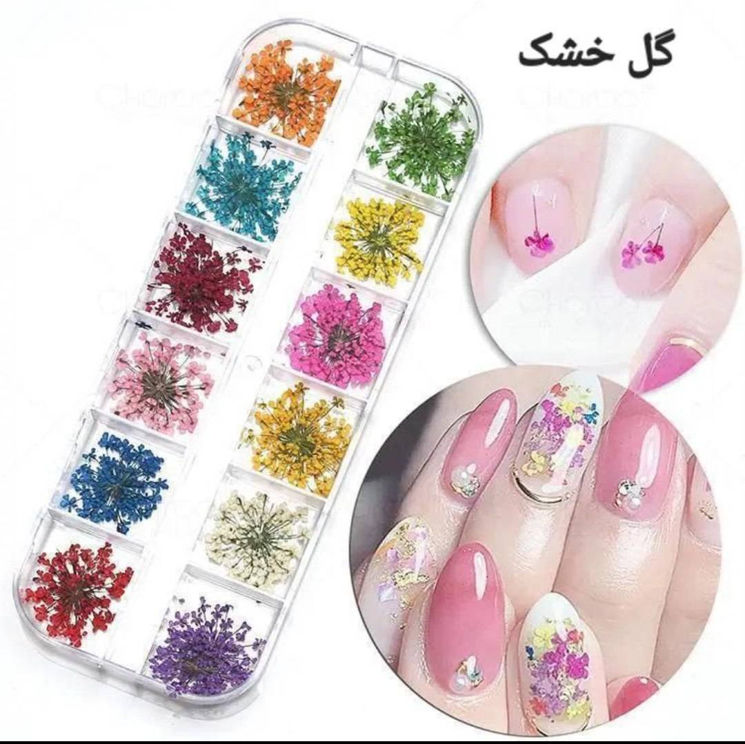 پک دیزاین گل خشک ناخن